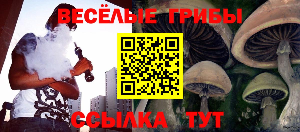Галлюциногенные грибы ЛСД Лабытнанги
