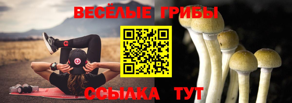 Псилоцибиновые грибы Psilocybine cubensis  Вход с VPN  Лабытнанги 